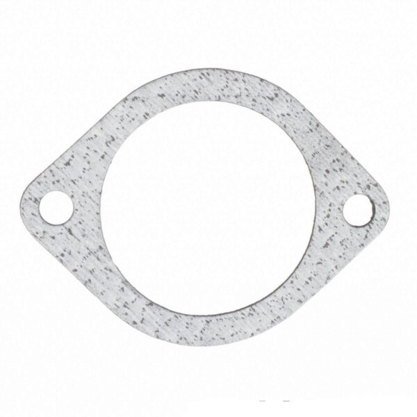 Tesnilo temostata MOTORCRAFT